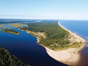 Jurmala Dune